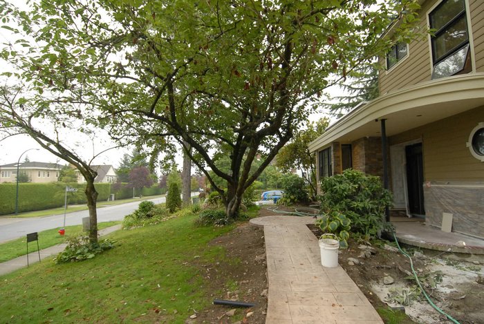 Sidewalk.jpg