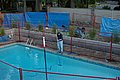 100PENTX-IMGP3606_IMGP3606.JPG